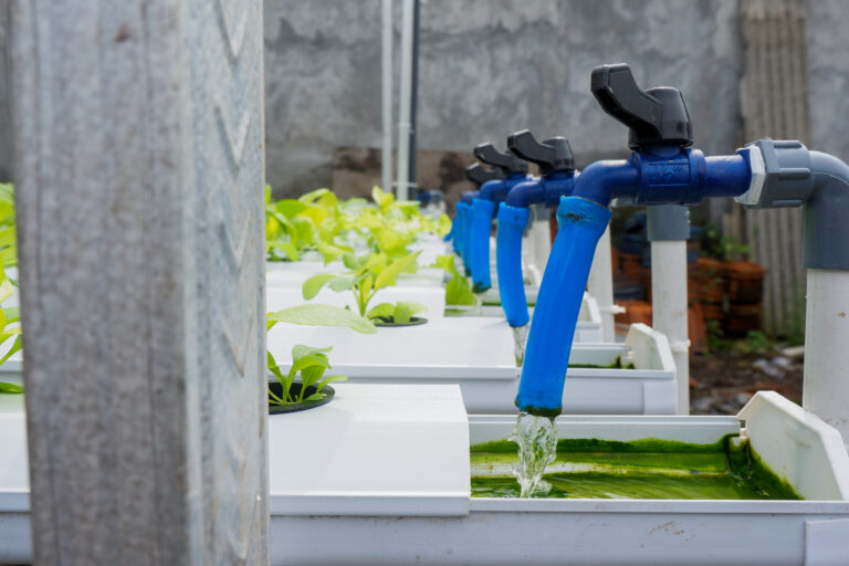 Hydroponic irrigation