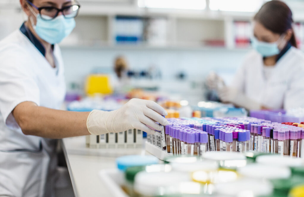 Scientists working in the laboratory